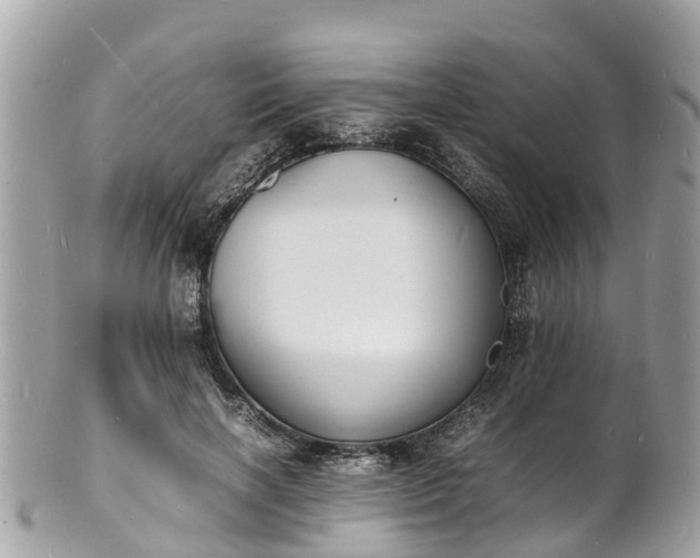 X0000100980646200807011444