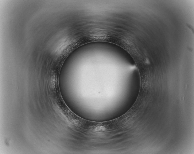 X0000100980647200807011444