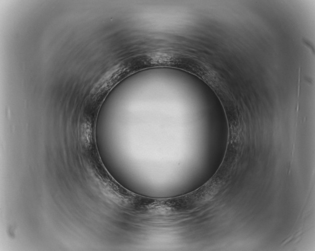 X0000100980648200807011444