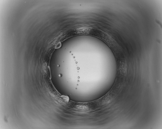 X0000100980649200807011444