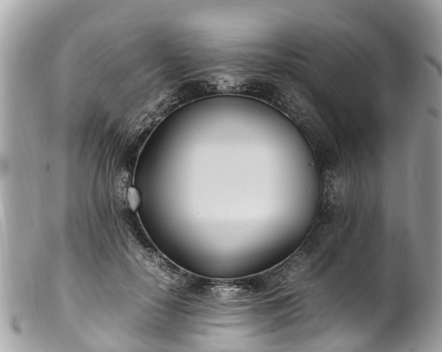 X0000100980650200807011444