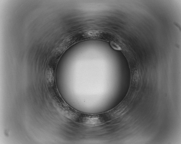 X0000100980651200807011444