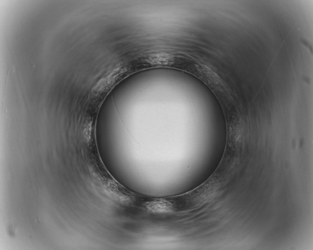 X0000100980652200807011444