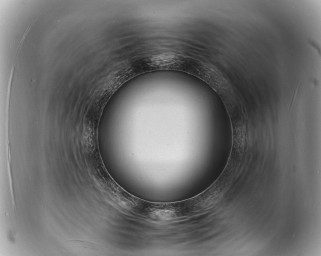 X0000100980653200807011444