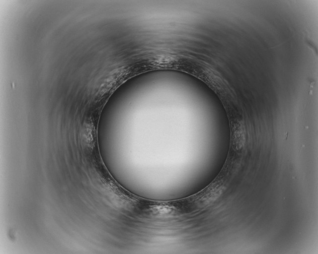 X0000100980654200807011444