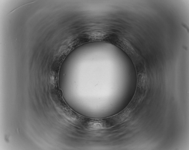 X0000100980655200807011444