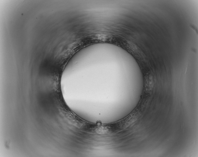 X0000100980656200807011444