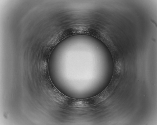 X0000100980657200807011444