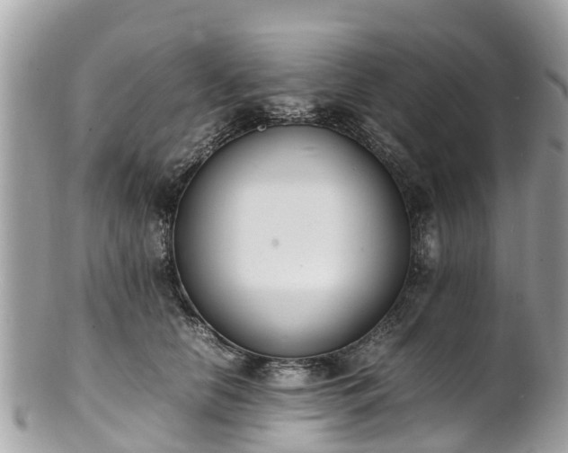 X0000100980658200807011444