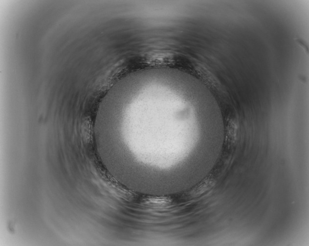 X0000100980659200807011444