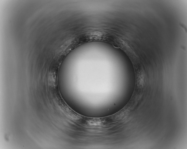 X0000100980661200807011444