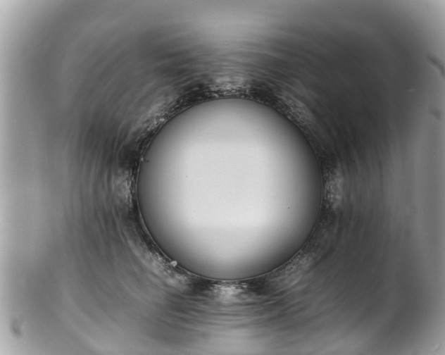 X0000100980662200807011444