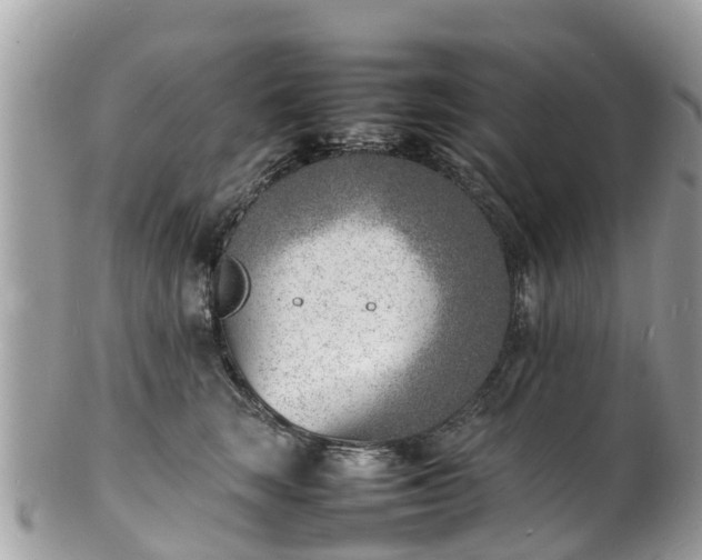 X0000100980663200807011445