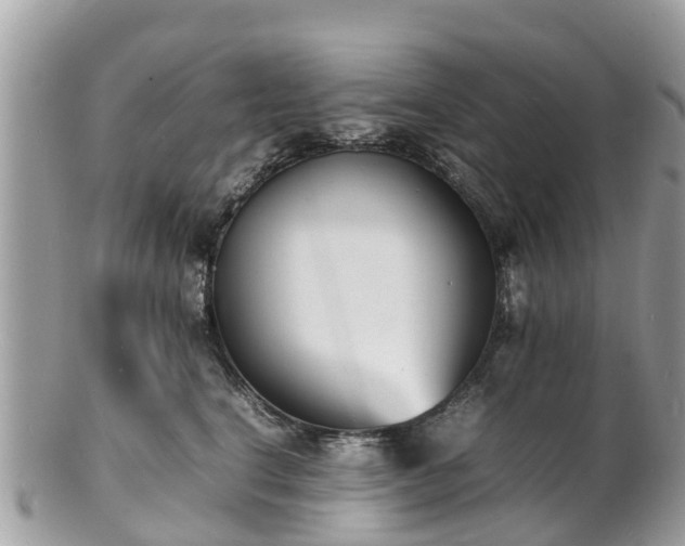 X0000100980664200807011445