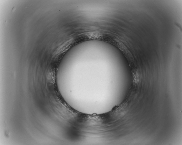 X0000100980666200807011445