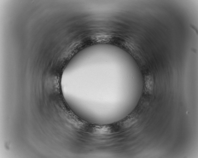 X0000100980667200807011445