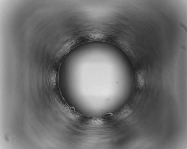 X0000100980668200807011445