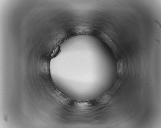 X0000100980669200807011445