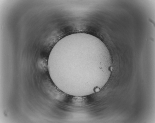 X0000100980672200807011445