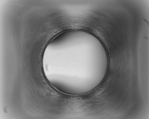 X0000100980673200807011444