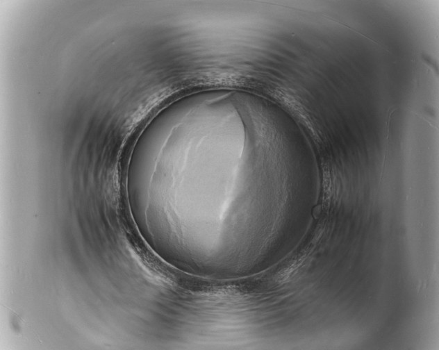 X0000100980674200807011444