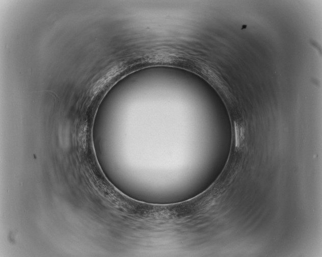 X0000100980675200807011444