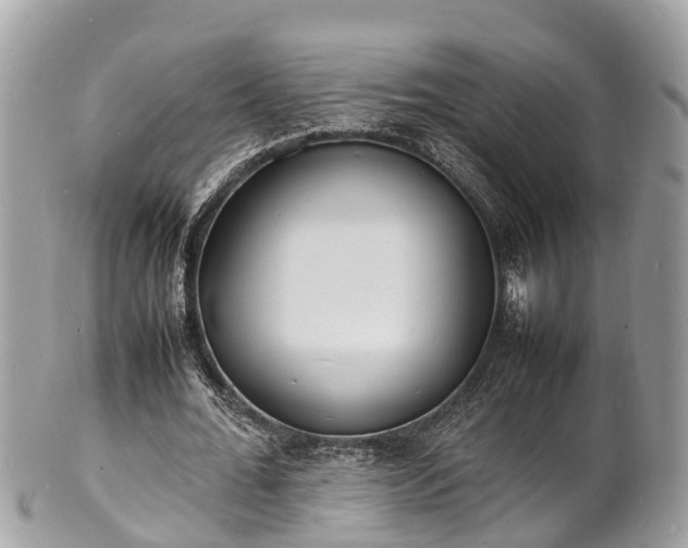 X0000100980676200807011444