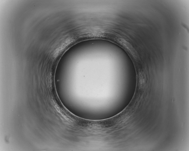 X0000100980677200807011444