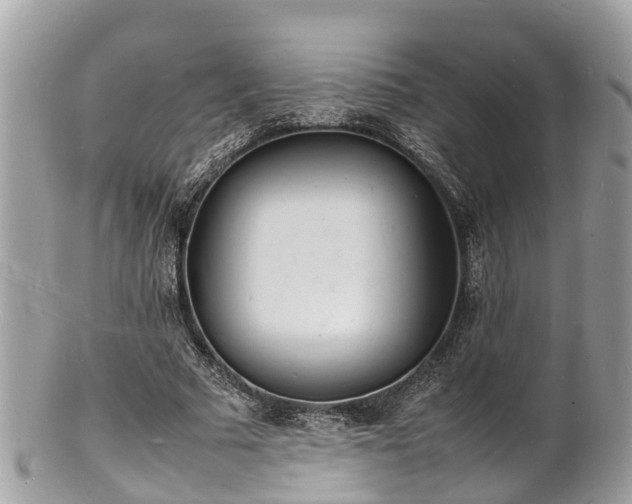 X0000100980681200807011444