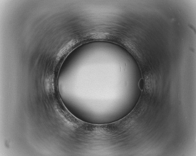 X0000100980682200807011444