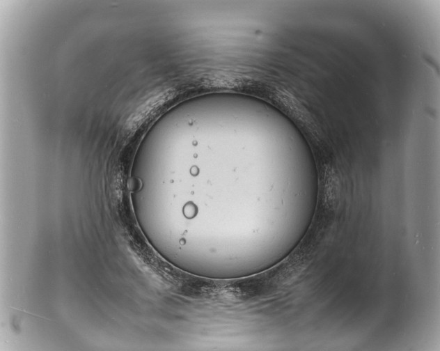 X0000100980683200807011444