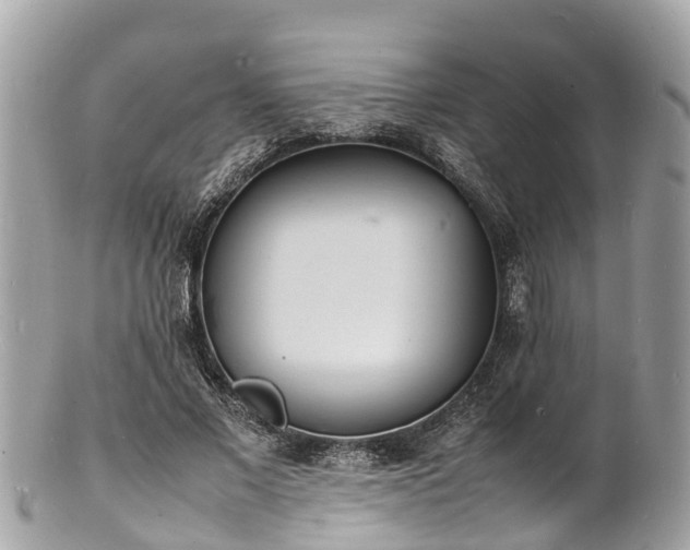 X0000100980685200807011444