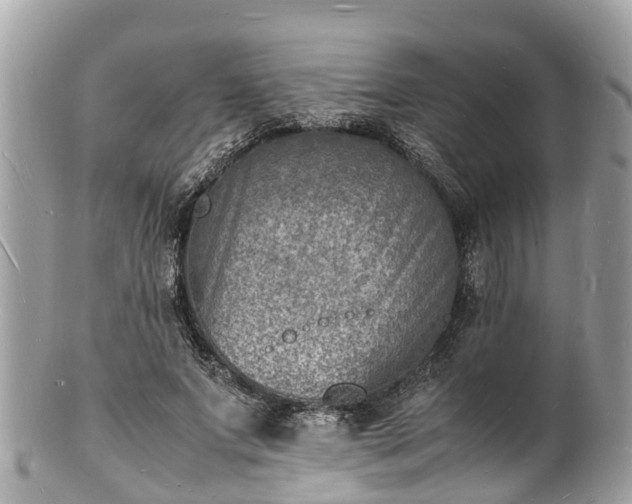 X0000100980687200807011444