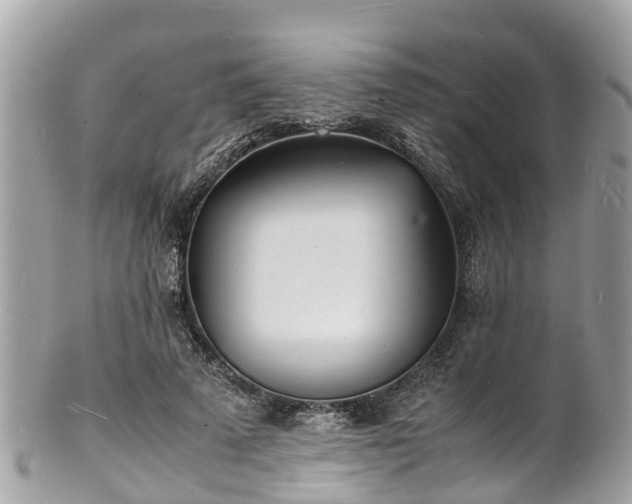 X0000100980689200807011444