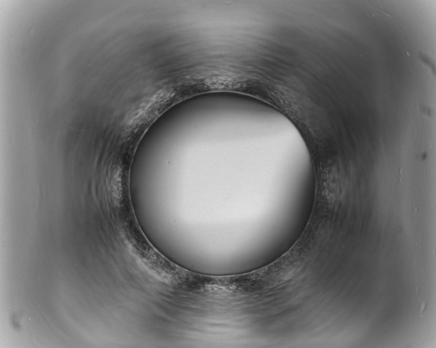 X0000100980690200807011444