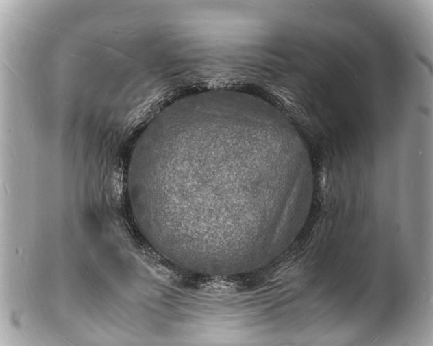 X0000100980691200807011444