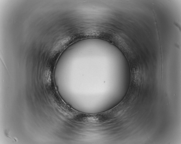 X0000100980692200807011444