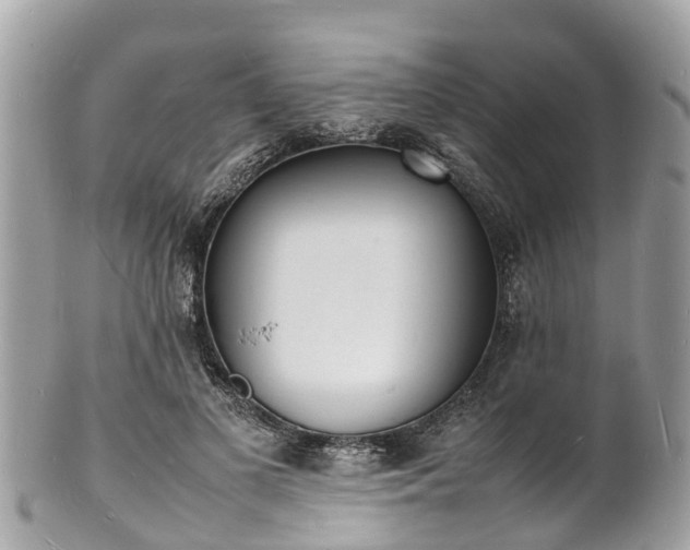 X0000100980693200807011444