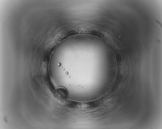 X0000100980695200807011443