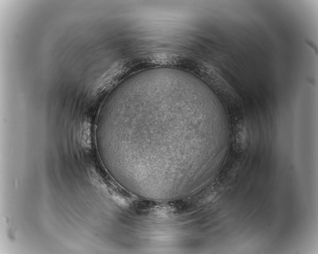 X0000100980696200807011443