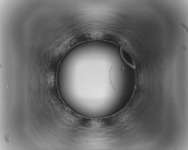 X0000100980697200807011443