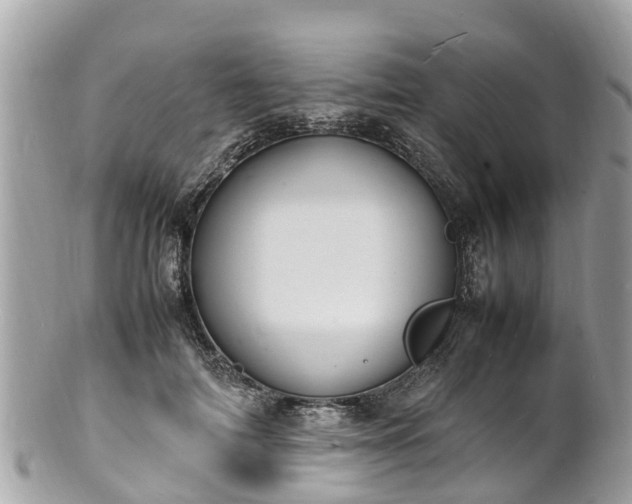 X0000100980698200807011443