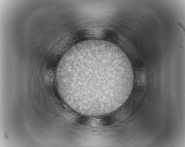 X0000100980701200807011443