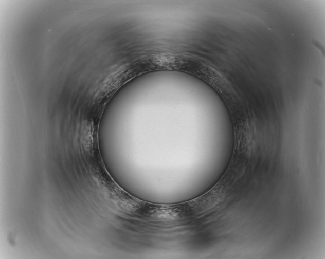 X0000100980702200807011443