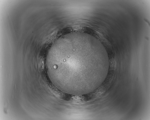 X0000100980703200807011443