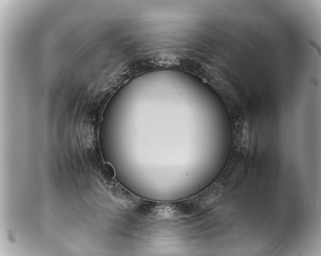 X0000100980704200807011443