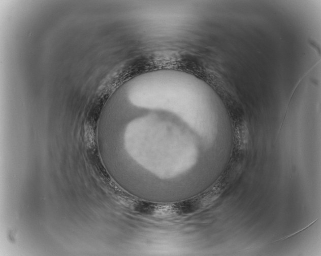 X0000100980705200807011443