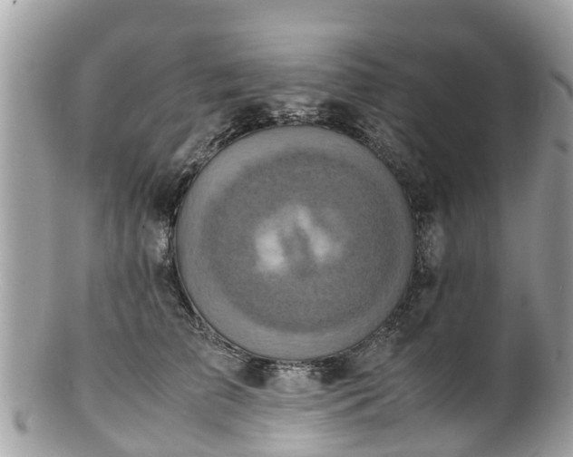 X0000100980709200807011443