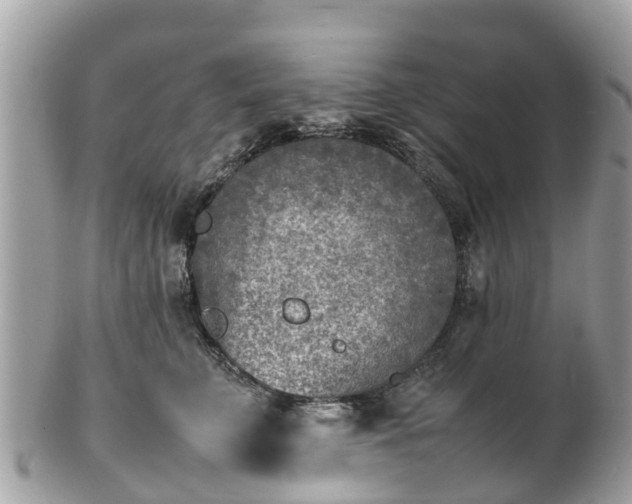 X0000100980711200807011443