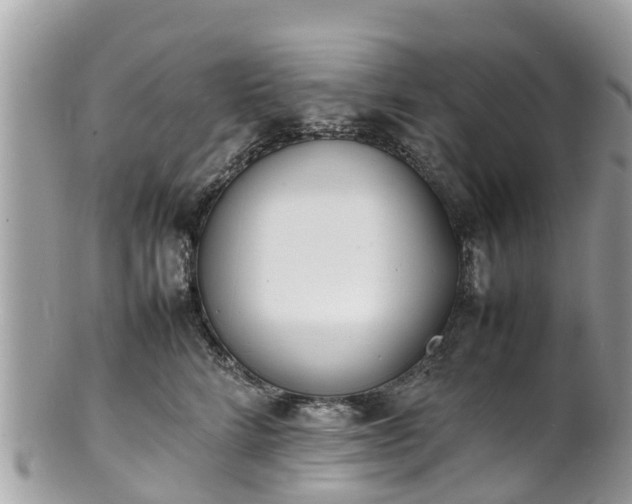 X0000100980712200807011443